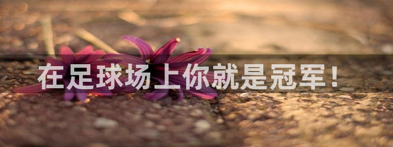 米兰体育官网下载招商电话地址查询：在足球场上你就是冠