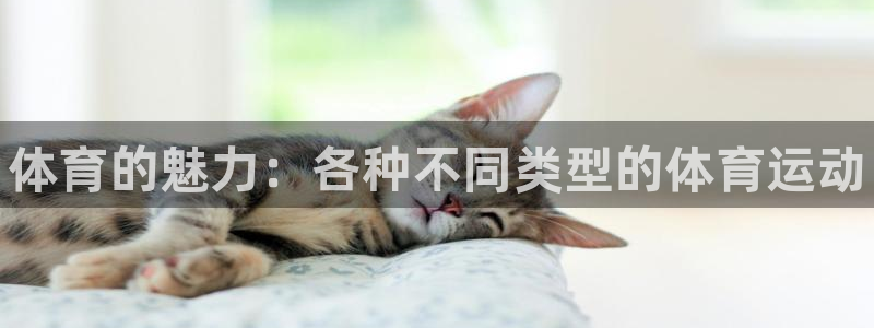 米兰体育官网下载招商电话号码：体育的魅力：各种不同类