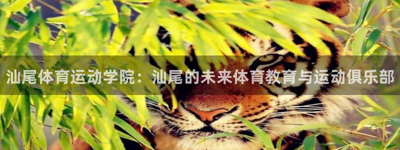 米兰体育官方正版app娱乐首页网站大全：汕尾体育运动