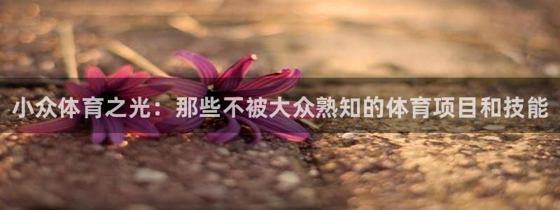 米兰体育官方正版app官方：小众体育之光：那些不被大