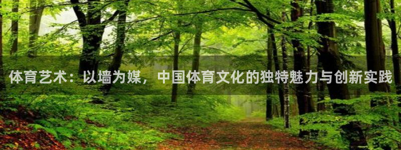 米兰体育官网下载是干嘛的公司：体育艺术：以墙为媒，中