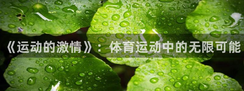 米兰体育官方正版app五金厂：《运动的激情》：体育运动中的无
