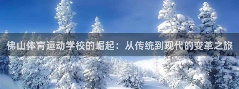 米兰体育官方正版app神州：佛山体育运动学校的崛起：从传统到