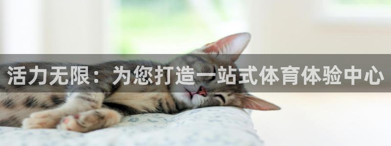 米兰体育官方正版app开户：活力无限：为您打造一站式体育体验