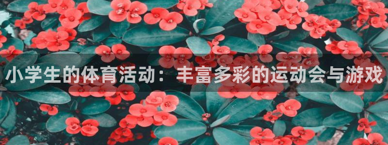 米兰体育官网下载：小学生的体育活动：丰富多彩的运动会与游戏