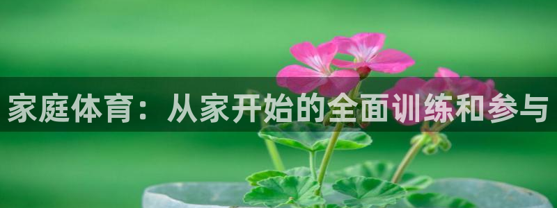 米兰体育官方正版app娱乐：家庭体育：从家开始的全面训练和参