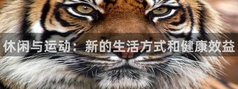 米兰体育官方正版app集团官网网址