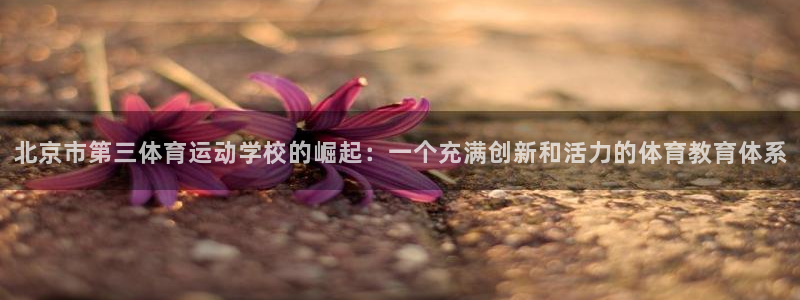 海南米兰体育官网下载发展怎么样：北京市第三体育运动学校的崛起