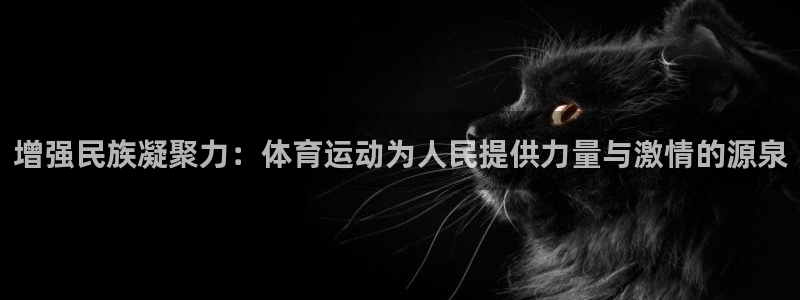 米兰体育官方正版app集团简介