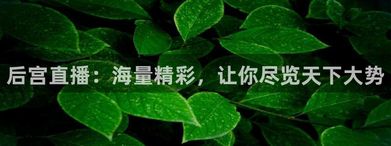 劲爆nba免费直播在线直播观看：后宫直播：海量精彩，让你尽览天下大势