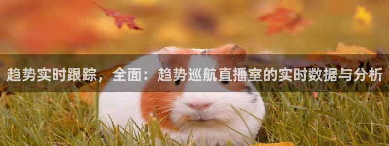 劲爆体育nba直播在线观看免费：趋势实时跟踪，全面：趋势巡航直播室的实时数据与分析