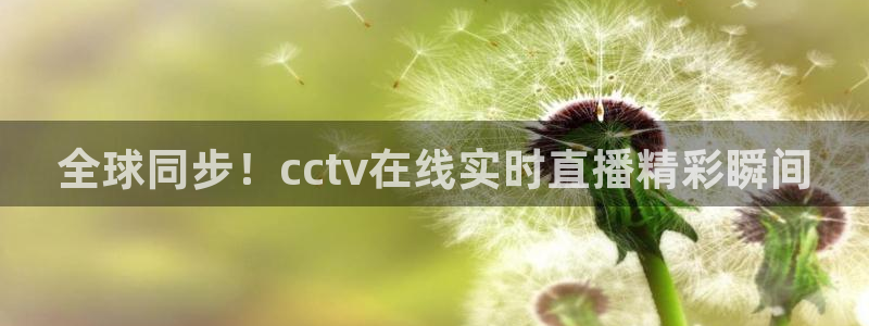劲爆体育直播nba节目表：全球同步！cctv在线实时直播精彩瞬间